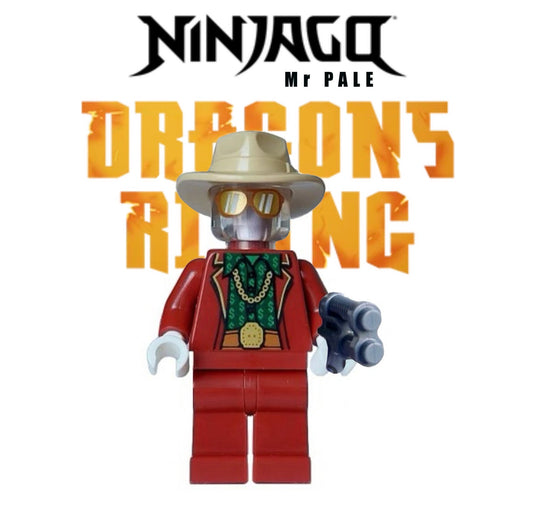 ⭐️ ⭐️ ⭐️MINIFIGURE NINJAGO UNIVERS: MR PALE ⭐️ ⭐️ ⭐️ CUSTOM