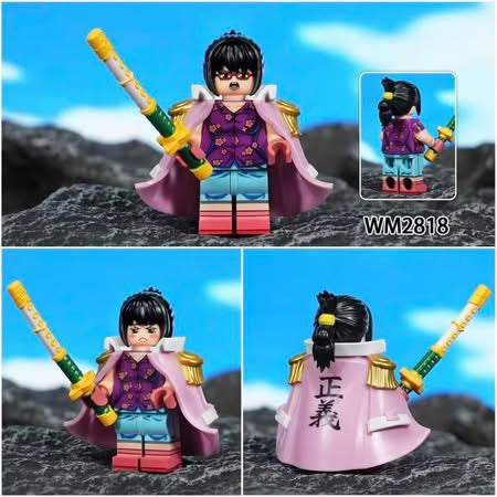 ⭐️⭐️⭐️MINIFIGURE ONE PEACE UNIVERS: TASHIGI ⭐️⭐️⭐️custom