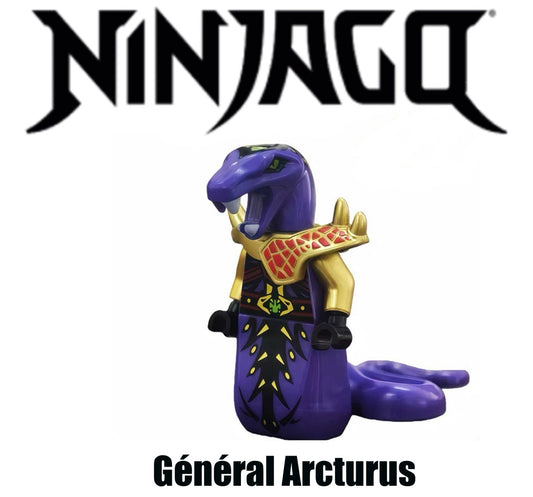 ⭐️ ⭐️ ⭐️MINIFIGURE NINJAGO UNIVERS: GENERAL ARCTURUS ⭐️ ⭐️ ⭐️ CUSTOM Disponibilité fin avril 2026
