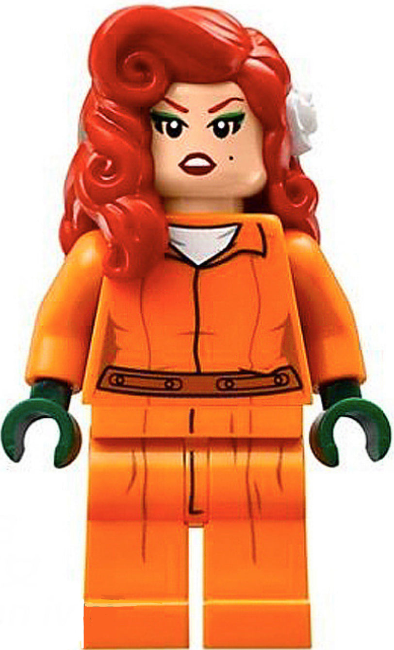 MINIFIGURE POISON IVY PRISON ARKHAM Custom