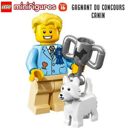 MINIFIGURE SÉRIES 16 "sachez ; socle + fascicule "